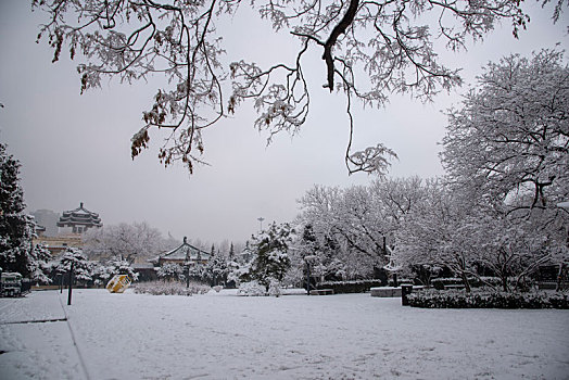 城市雪景