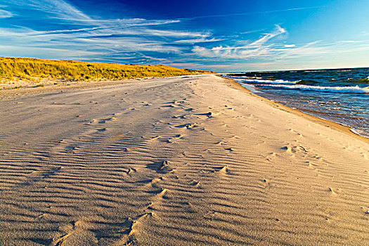 沙,岸边,密歇根湖,州立公园,密歇根,美国