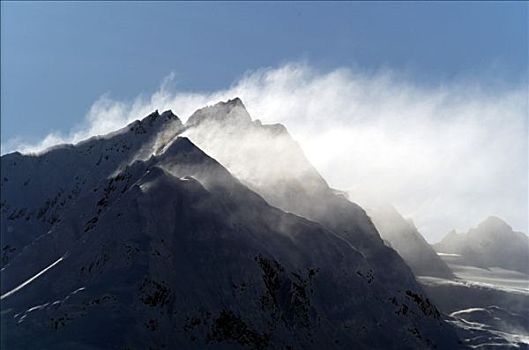 吹,雪,高处,瓦尔德斯半岛,阿拉斯加