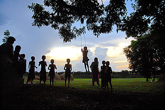 乡村,男孩,骑,晃动,孟加拉,六月,2007年