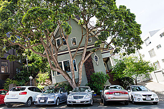 房子,陡峭,街道,旧金山