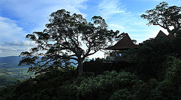 三亚热带天堂森林公园