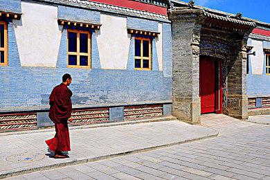 西藏路图片
