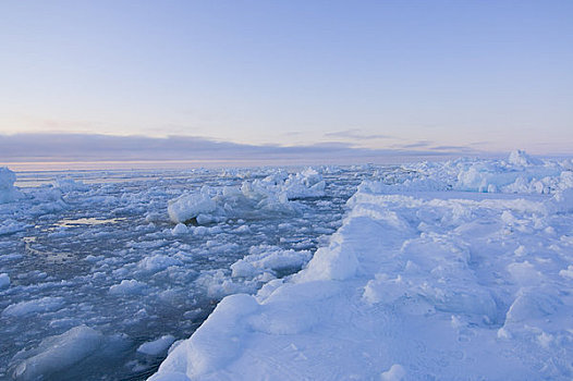 风景,海冰,流动,浮冰,楚科奇海,北极,阿拉斯加