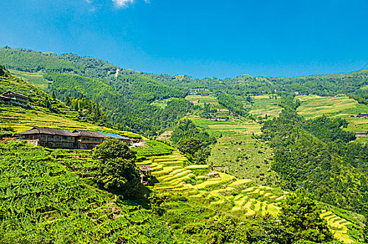 山岭风光