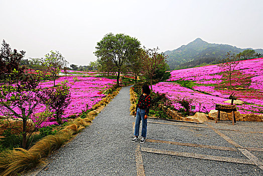 昆嵛山