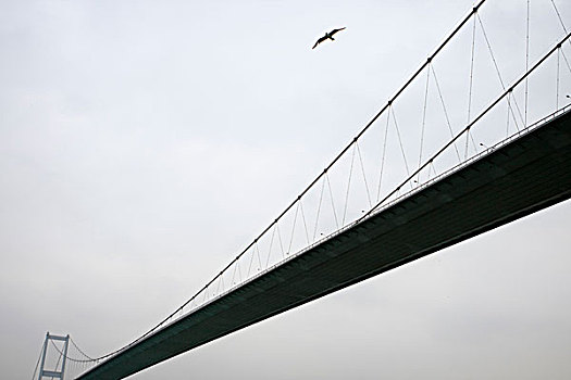 桥,伊斯坦布尔