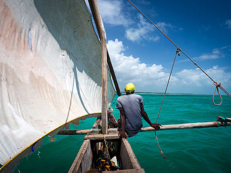 驾驶,双体船,船,独桅三角帆船,桑给巴尔岛,群岛,坦桑尼亚,非洲