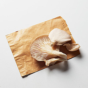 蚝蘑,牛皮纸袋