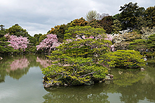 花园,平安神宫,京都,日本