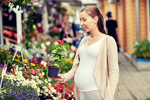 孕妇,选择,花,街边市场