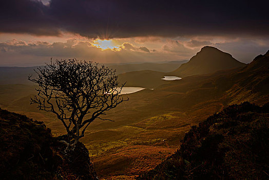 山地,风景,生动,亮光,斯凯岛,苏格兰