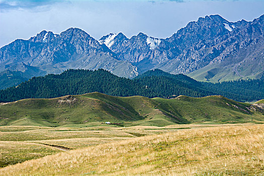 新疆沙湾鹿角湾草原高山