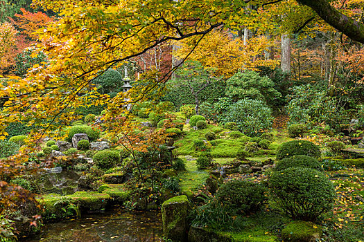 秋天,日本寺庙