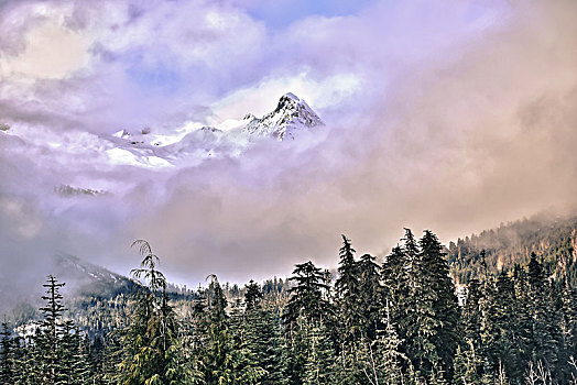 风景,山,雾气,惠斯勒,不列颠哥伦比亚省,加拿大