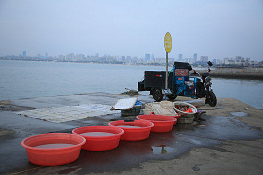 山东省日照市,渔码头上的大红盆引人注目,游客好奇前来淘鲜