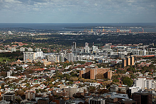 悉尼市区,悉尼塔鸟瞰周边