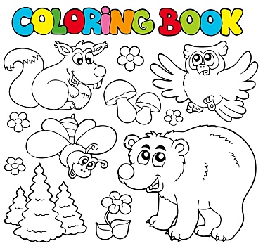 上色画册,森林动物
