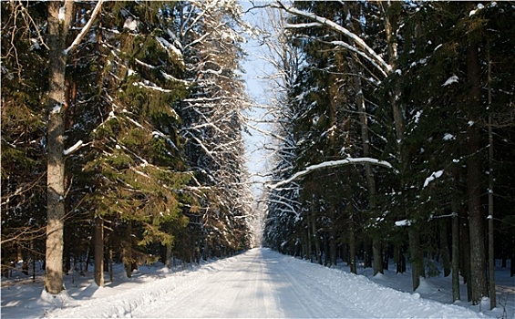 雪,宽,地面,道路,老,混合,站立