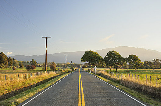 道路,靠近,南岛,新西兰