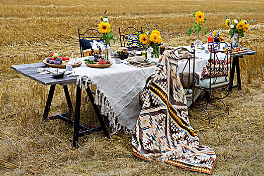 成套餐具,白色,亚麻布,桌布,黄色,向日葵,胡茬,地点