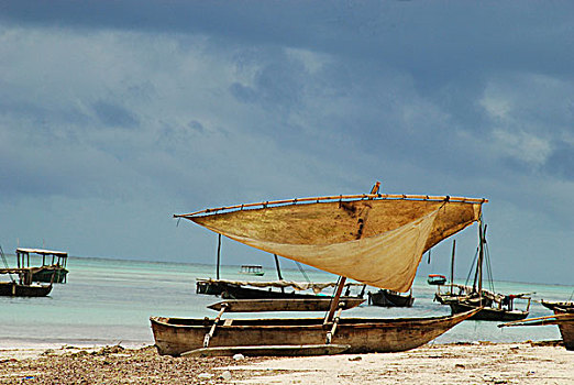 坦桑尼亚,桑给巴尔岛,传统,渔民,帆船,白色背景,海滩