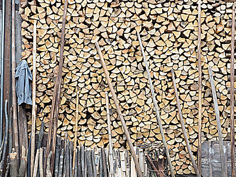 山里备冬用的木柴