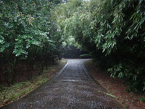 雨天小路