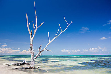尤卡坦半岛图片