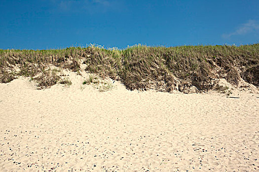 沙丘,晴朗,海滩,角度,海景