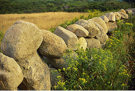 石头,围栏,地点,布洛克岛,罗德岛,美国