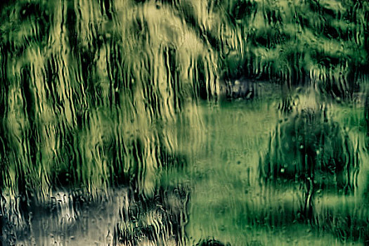 花园,下雨,窗玻璃