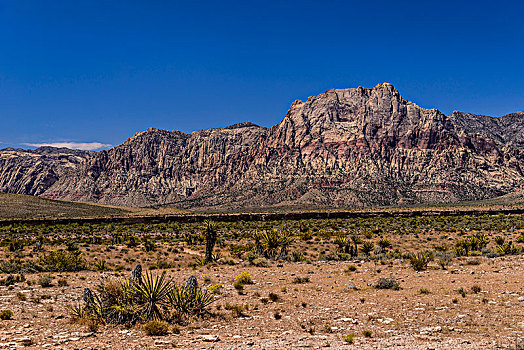 美国,内华达,拉斯维加斯,红岩峡谷,春天,山,风景,游人,中心