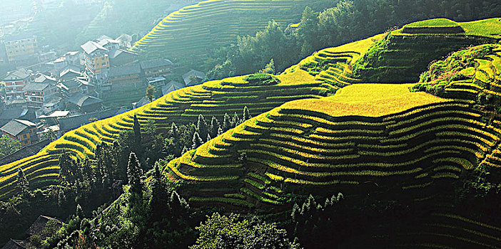 大美中国,桂林龙脊梯田秋色,18