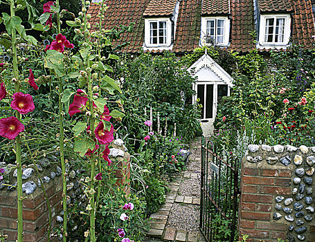 英国风情,白色,门廊,粉色,蜀葵,花园,大门