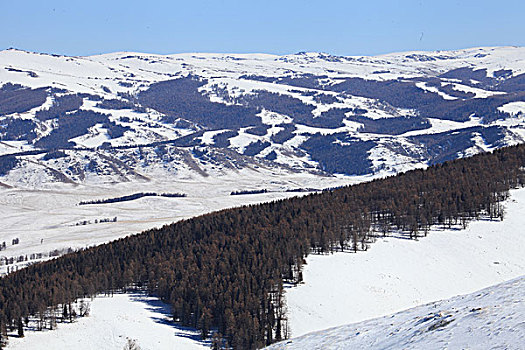 天山雪韵