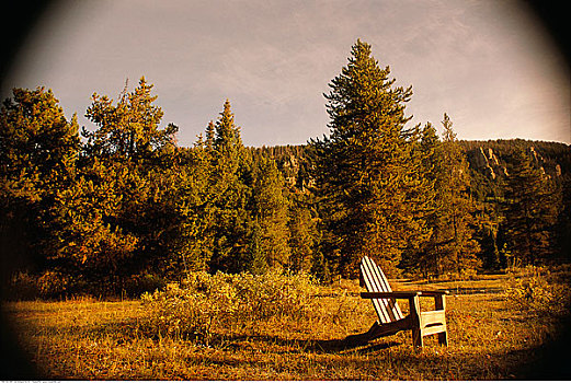 宽木躺椅,树林