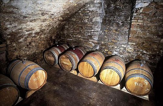 葡萄酒瓶,地窖,木质,葡萄酒桶