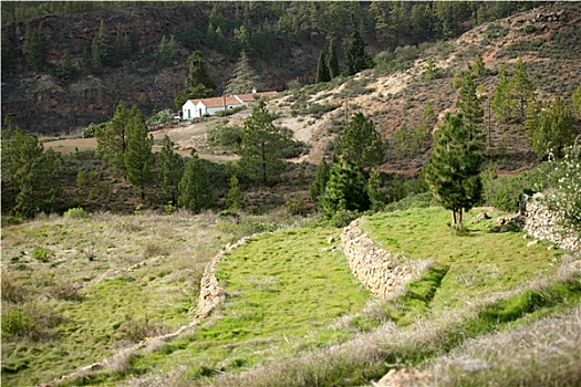 自然,风景,特内里费岛,西班牙