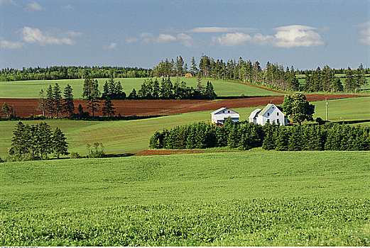 农舍,地点,爱德华王子岛,加拿大