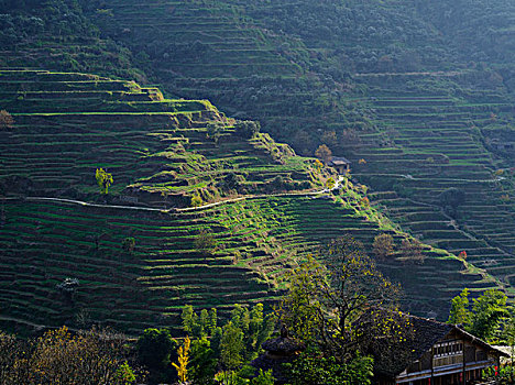 风景