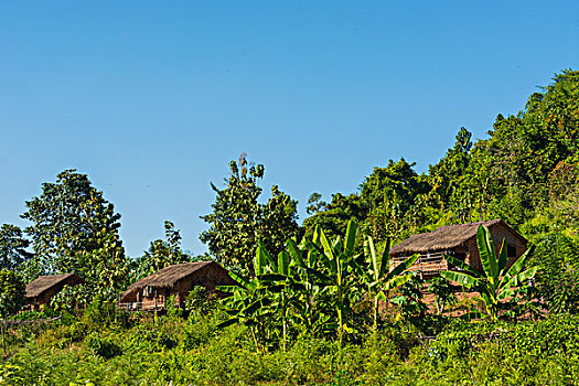缅甸,掸邦,靠近,卡劳,绿色,山,山谷,露营,传统,房子,树林