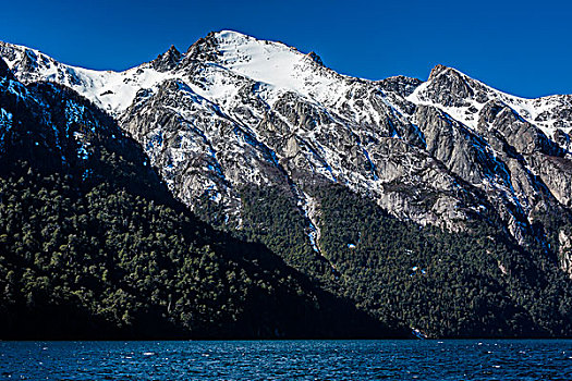 风景,湖,山,纳韦尔瓦皮,国家公园,阿根廷