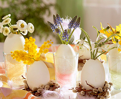 蛋,花瓶,雏菊属,雏菊,射香兰属