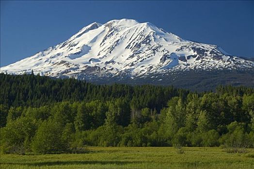 树,正面,积雪,山,亚当斯,鲑鱼,湖,自然,区域,保存,华盛顿,美国