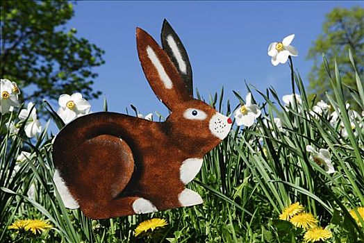 复活节兔子,装饰,花,草地