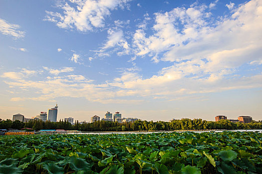 北京玉渊潭公园