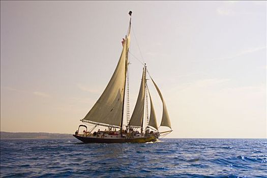 纵帆船,航行,佩诺布斯科特湾,缅因,美国