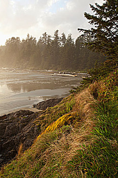 薄雾,雾,形态,上方,海滩,石头,区域,长滩,环太平洋国家公园,靠近,不列颠哥伦比亚省,加拿大