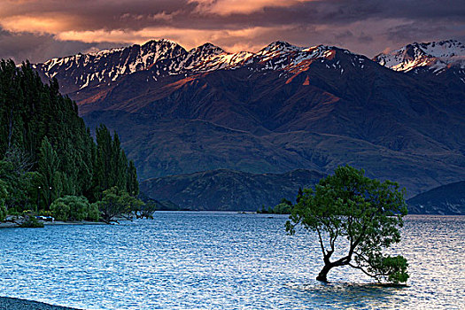 新西兰南岛,蒂阿瑙湖